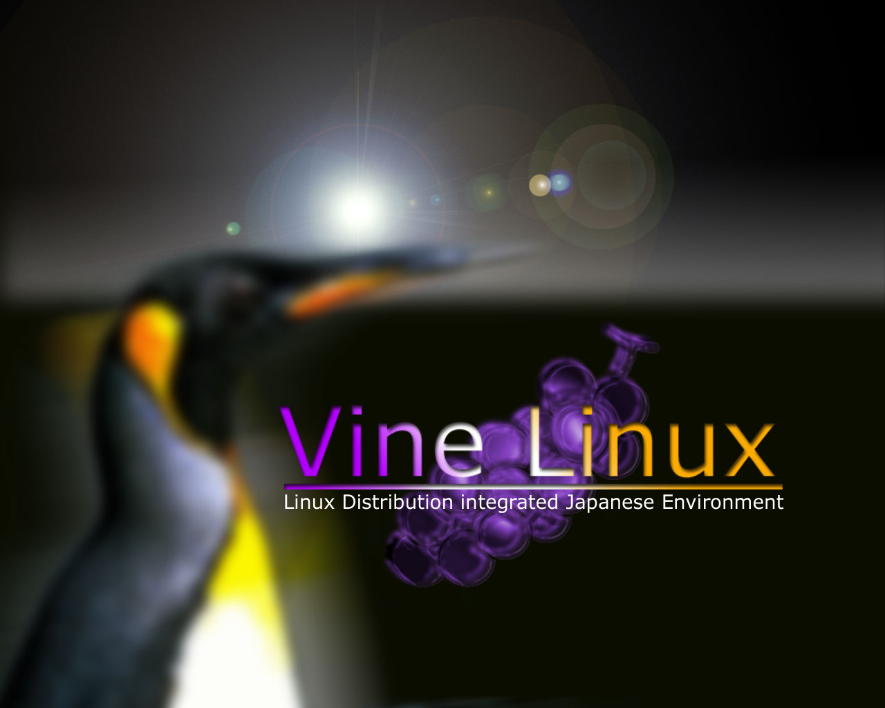 projects/vine-backgrounds/Vine/vine-1280.jpg